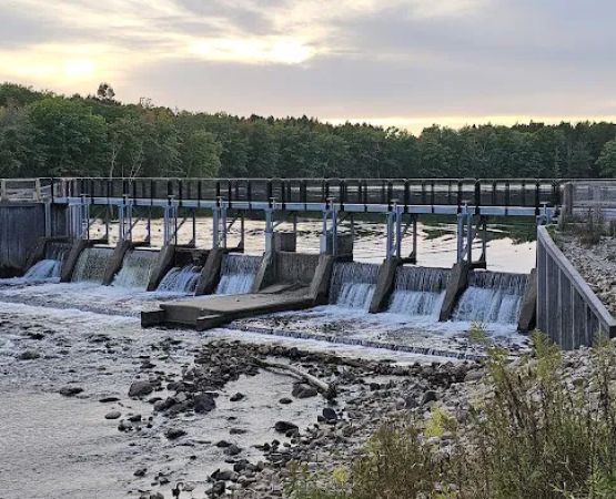 Reedsburg Dam State Forest Campground