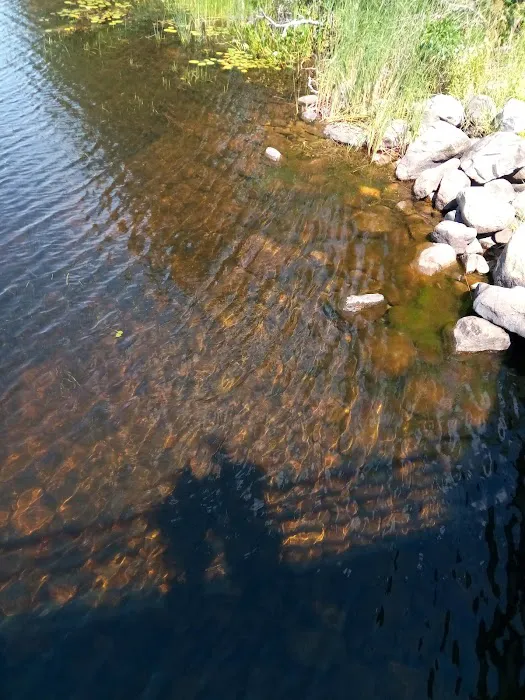 Reedsburg Dam State Forest Campground 8