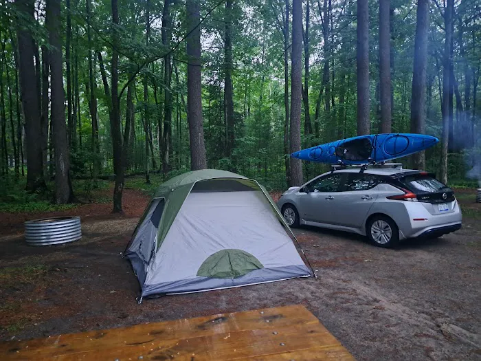 Higgins Lake State Park West Campground 2