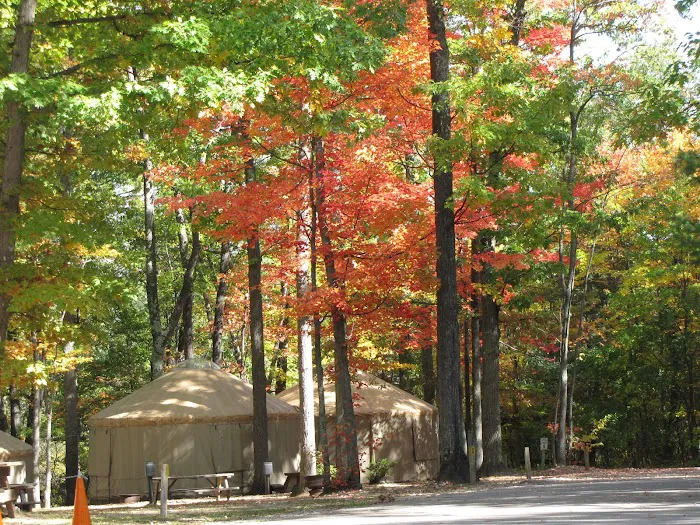 The Higgins Lake Campground 7
