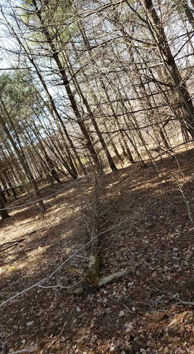 Bluffs 5
