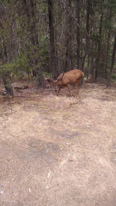 Cat Island Campground 5