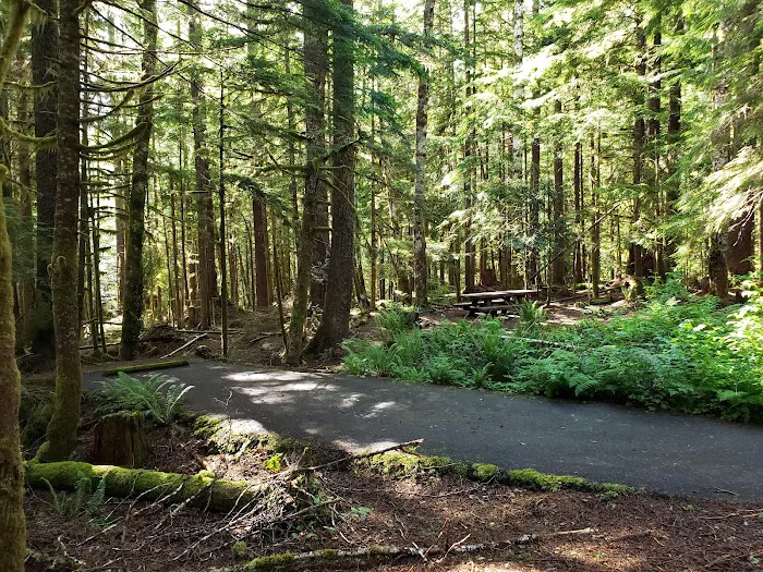Troublesome Creek Campground 3