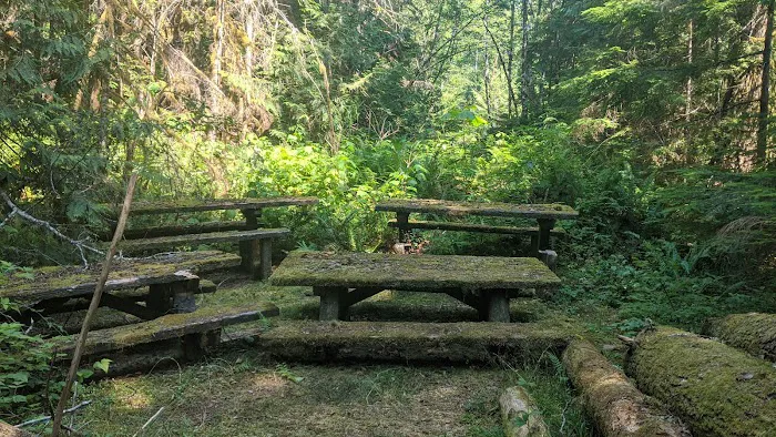 Troublesome Creek Campground 8