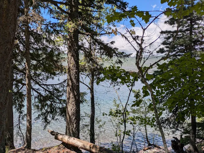 Sprague Creek Campground 6