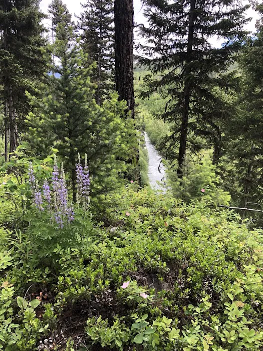 Adair Campground 2