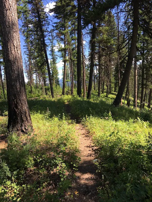 Adair Campground 4