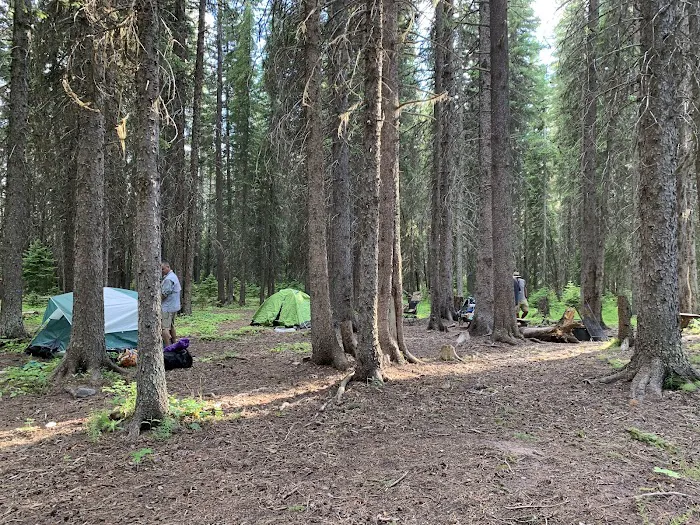 Schafer Airfield Campground 1