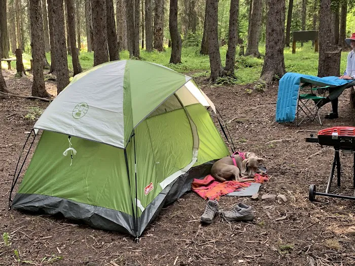 Schafer Airfield Campground 0