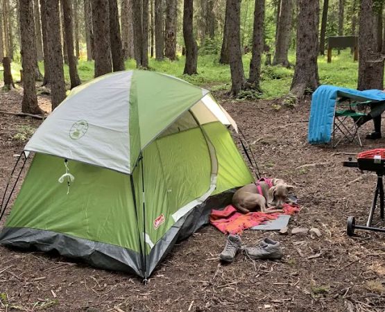 Schafer Airfield Campground