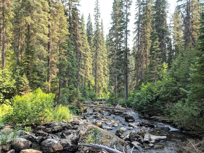 Akokala Lake Campground 4