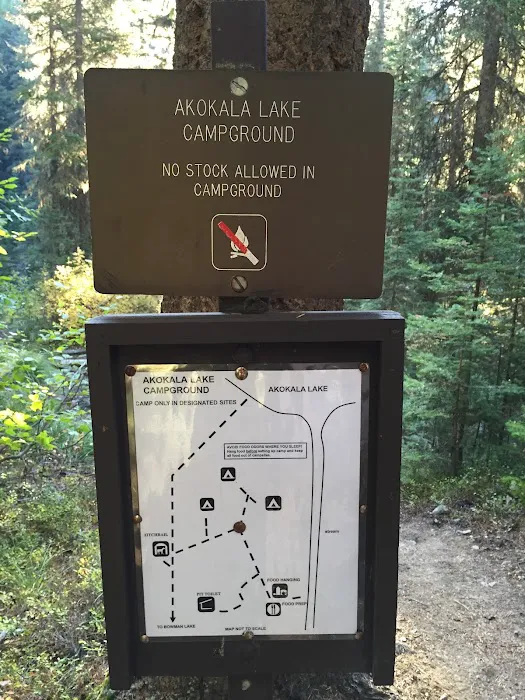 Akokala Lake Campground 7