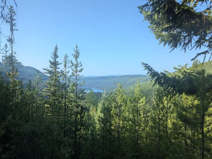 Quartz Lake Campground 1