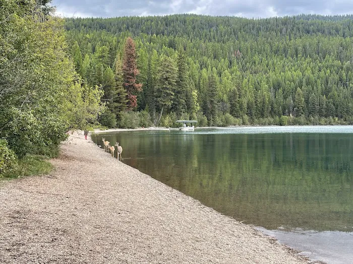 Bowman Lake Campground 1