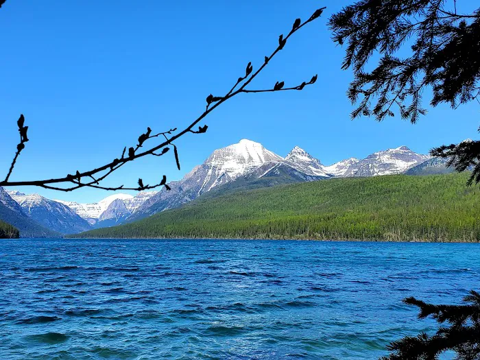 Bowman Lake Campground 2