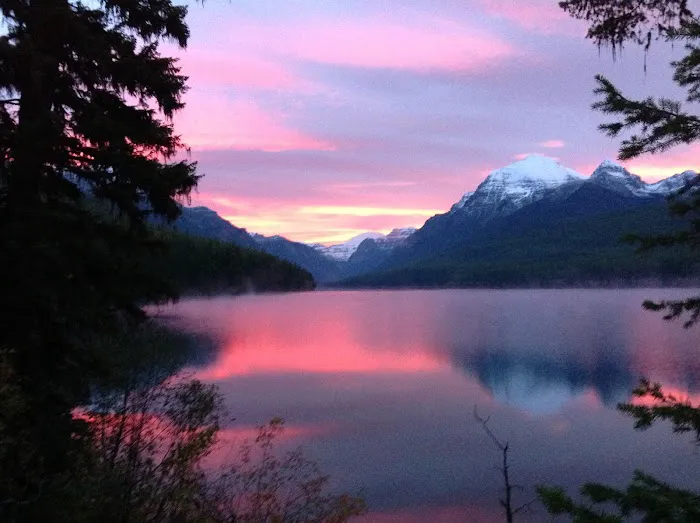 Bowman Lake Campground 8