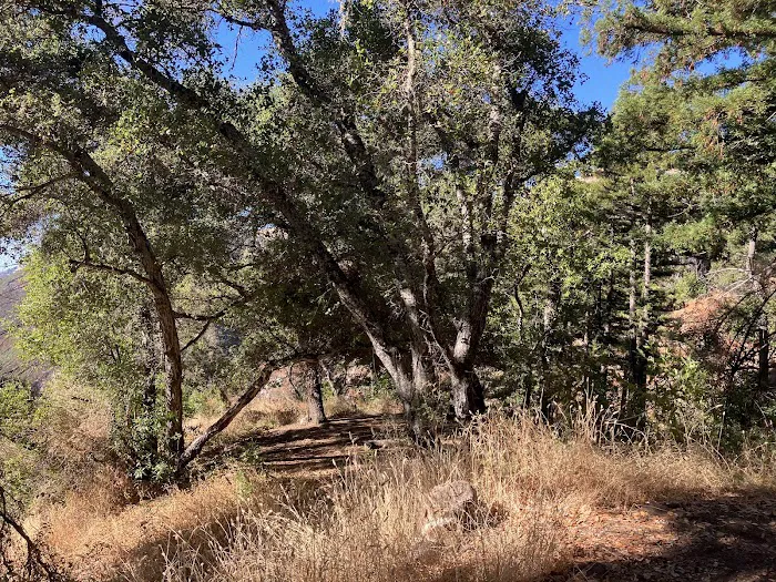 Espinosa Camp 4