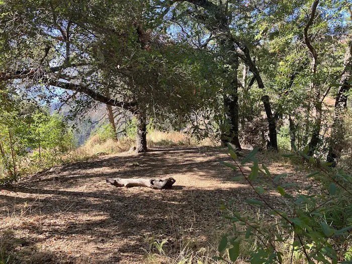Espinosa Camp 5