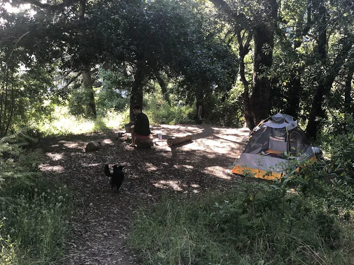 Espinosa Camp 3