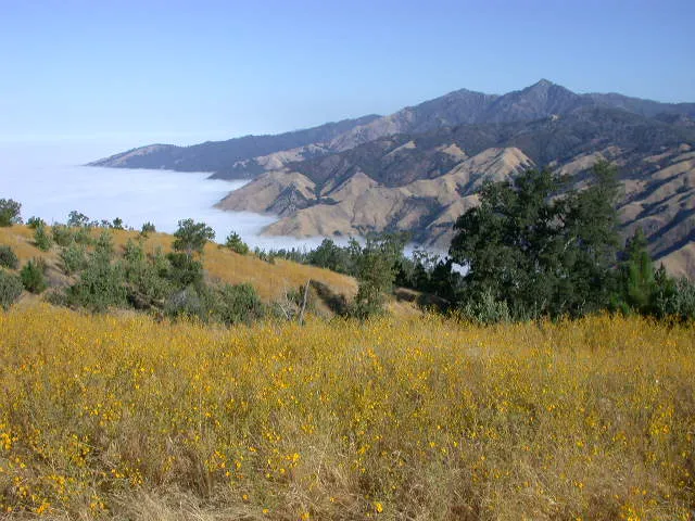 Prewitt Ridge Campground 8