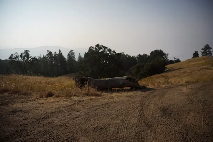 Alms Campground 6