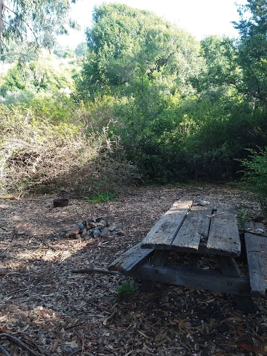 Sycamore Flat Campground 1