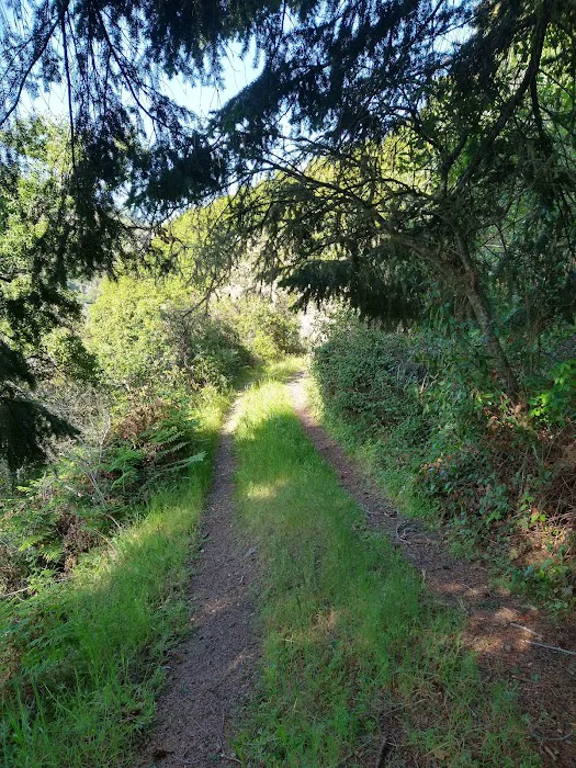 Sycamore Flat Campground 0