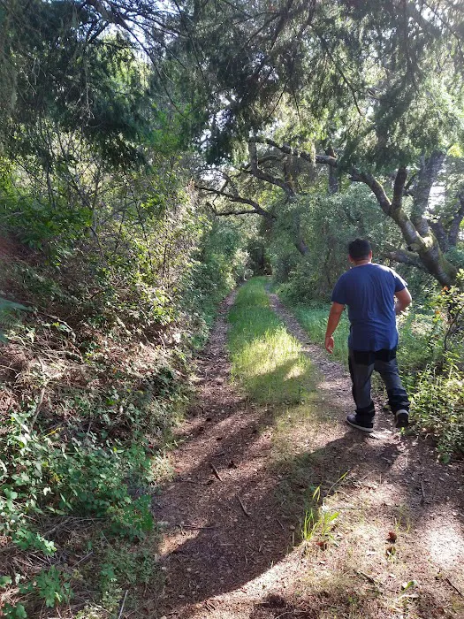 Sycamore Flat Campground 3