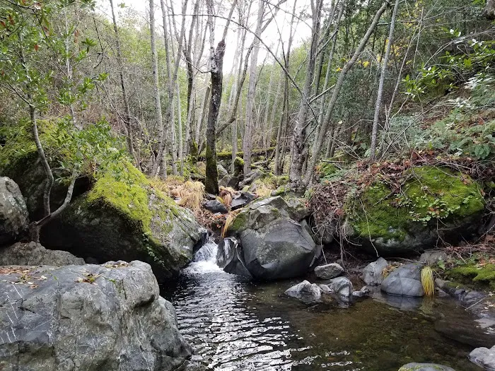 Alder Creek Camp 1