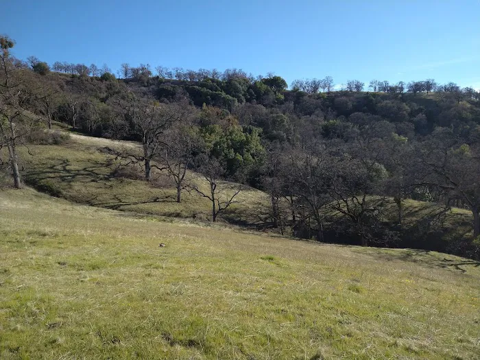 Doe Canyon Horse Camp 1