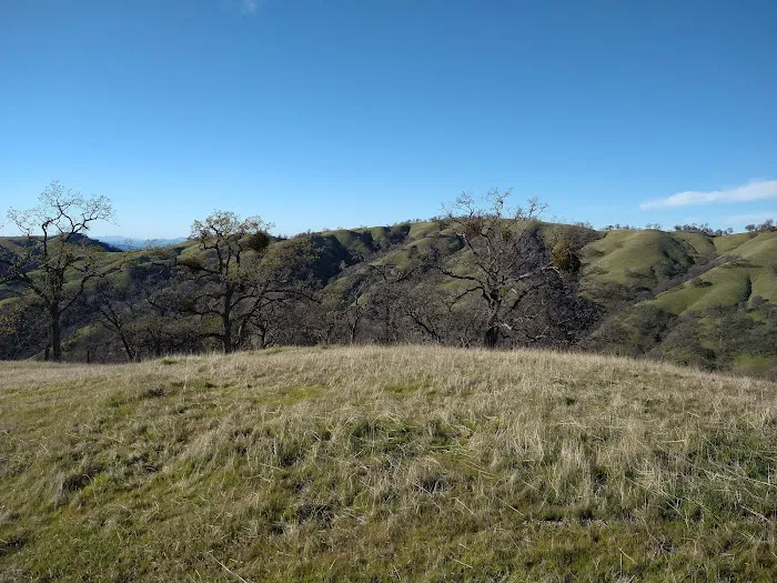 Doe Canyon Horse Camp 2
