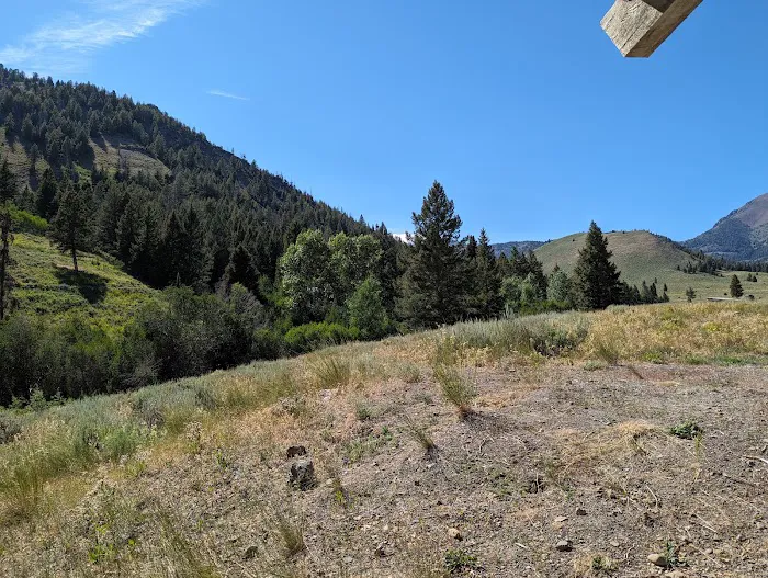 Iron Bog Campground 4