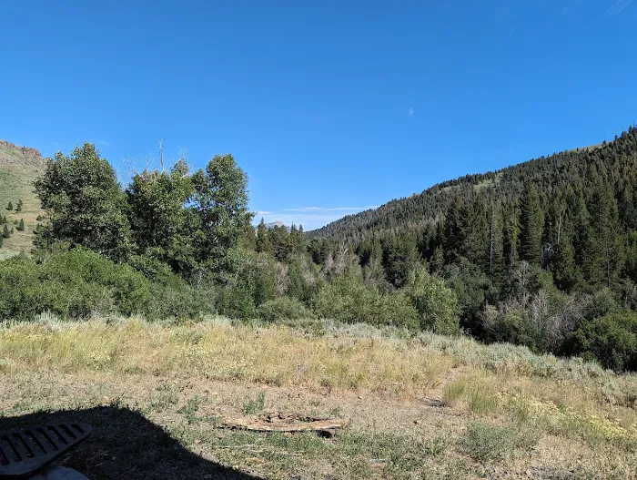 Iron Bog Campground 9