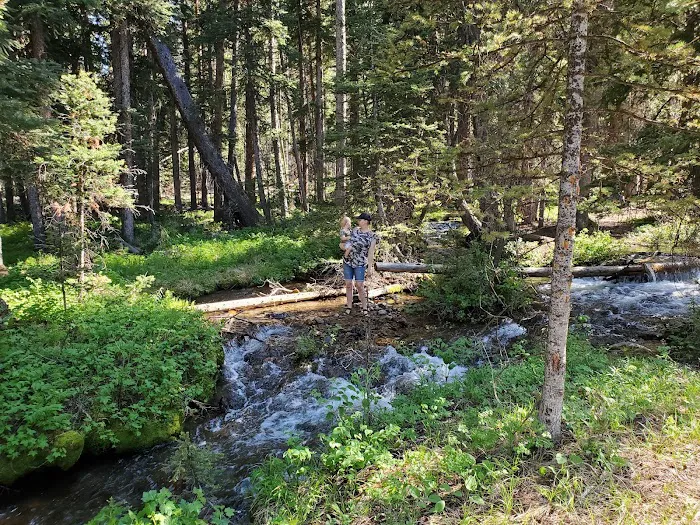 Big Eightmile Campground 5