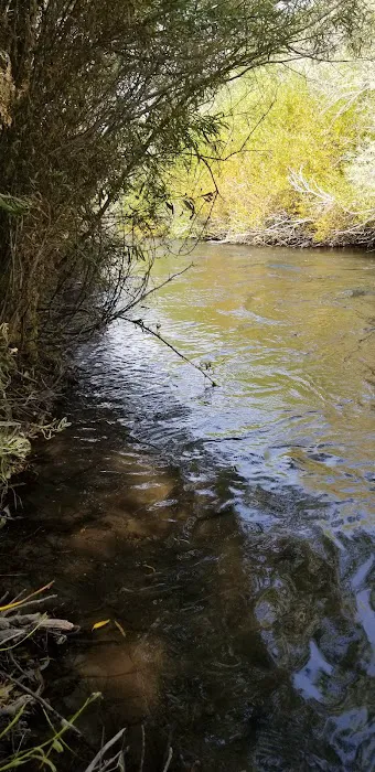 McFarland Campground 5