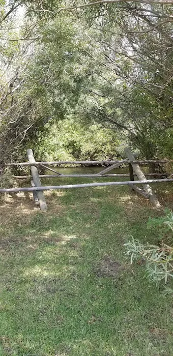 McFarland Campground 4