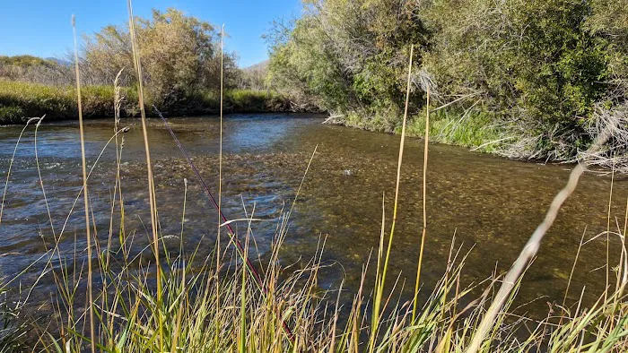 McFarland Campground 7