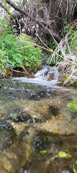 Timber Creek Campground 0