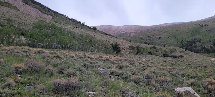 Timber Creek Campground 6