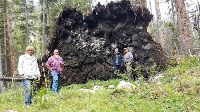 Timber Creek Campground 8