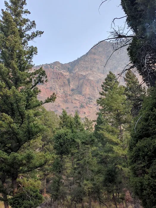 Williams Lake Campground 2