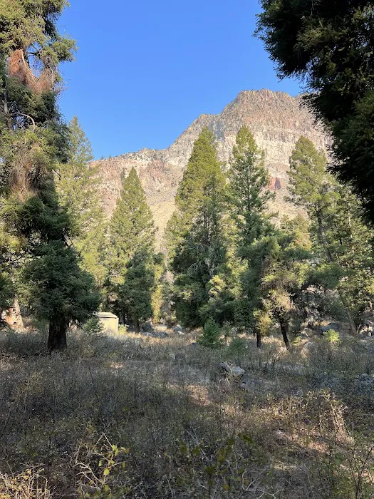 Williams Lake Campground 9