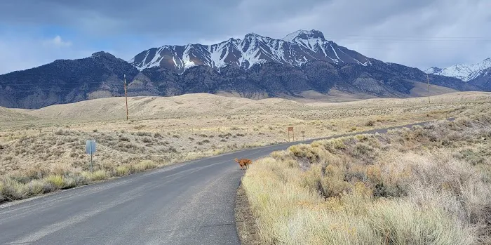 Joe T. Fallini Campground 5