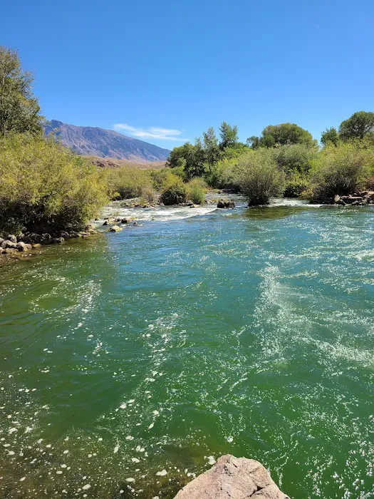 Joe T. Fallini Campground 9
