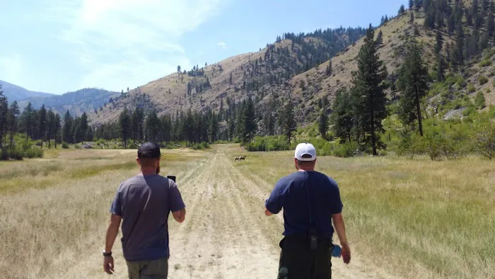 Mackay Bar Campground 5
