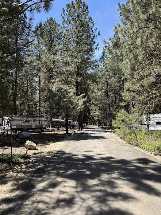 Peninsula Campground 2