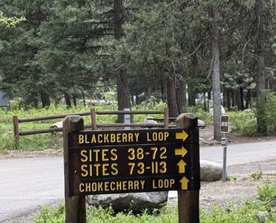 Peninsula Campground