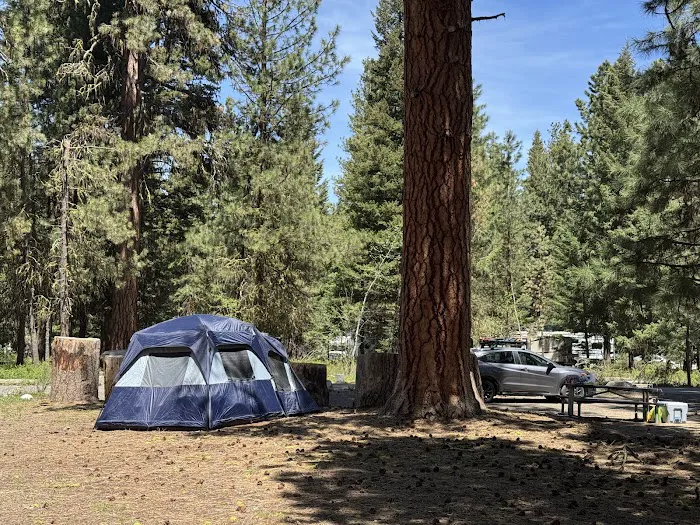 Peninsula Campground 1