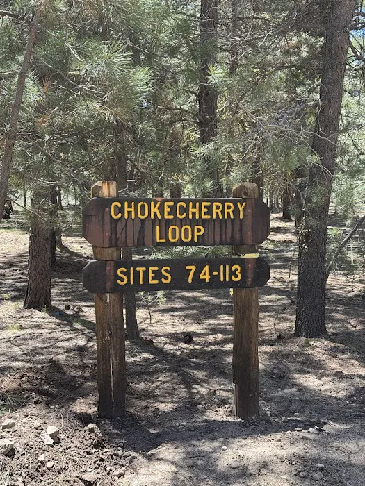 Peninsula Campground 4