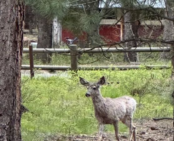 RV Campground